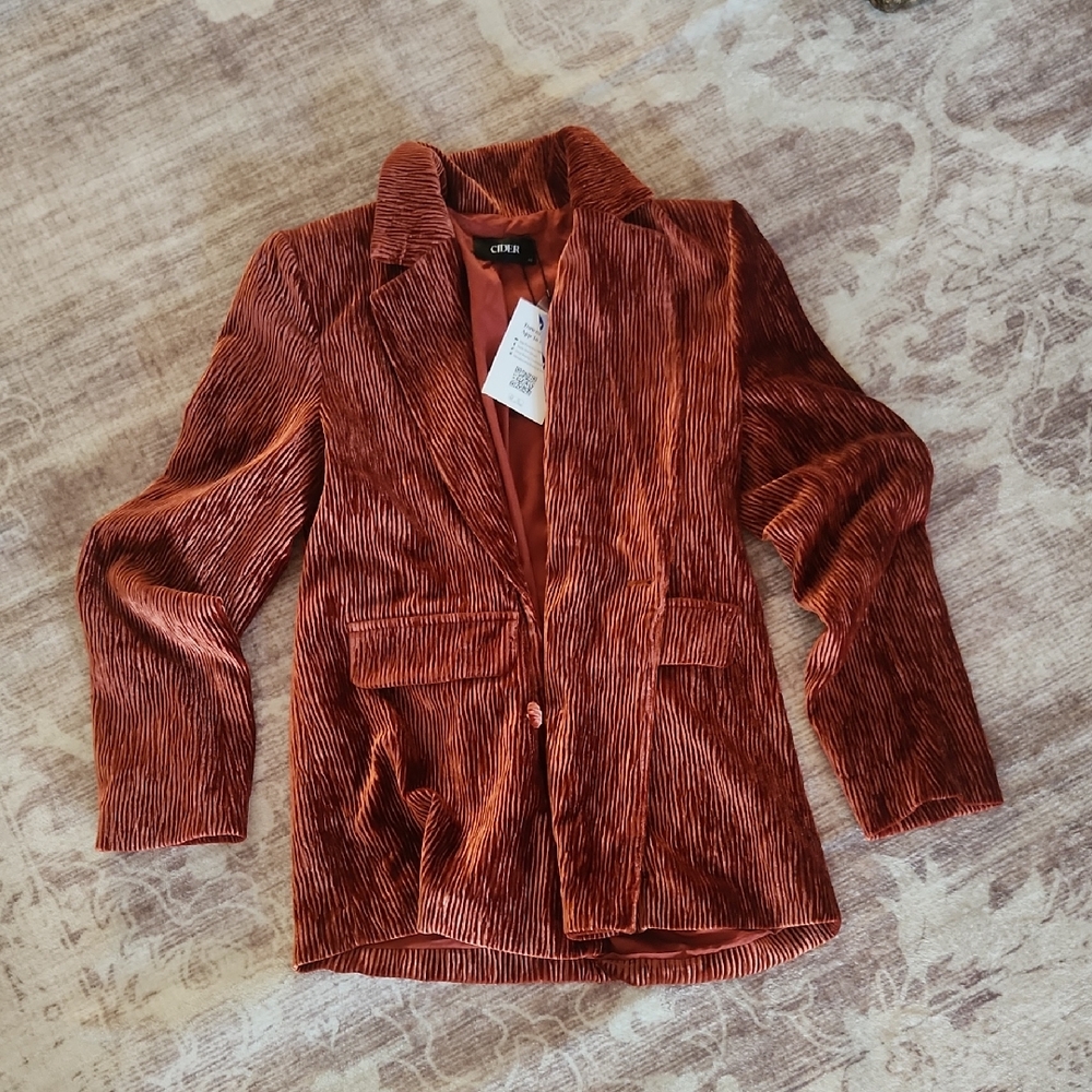 Cider Burnt Orange Velvet Blazer
